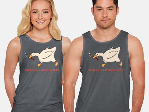 Serious Goose Violence