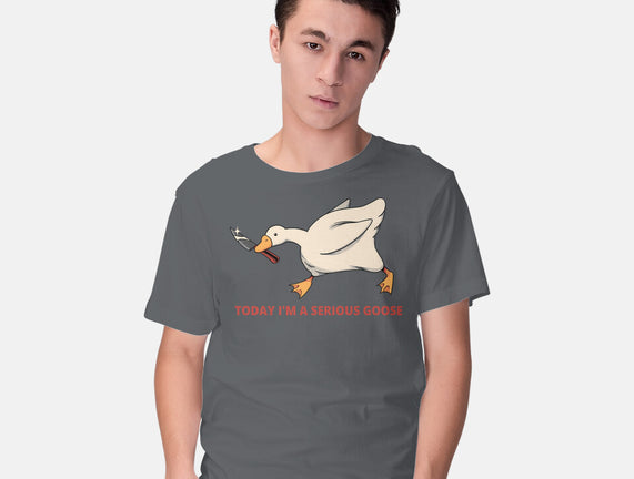 Serious Goose Violence