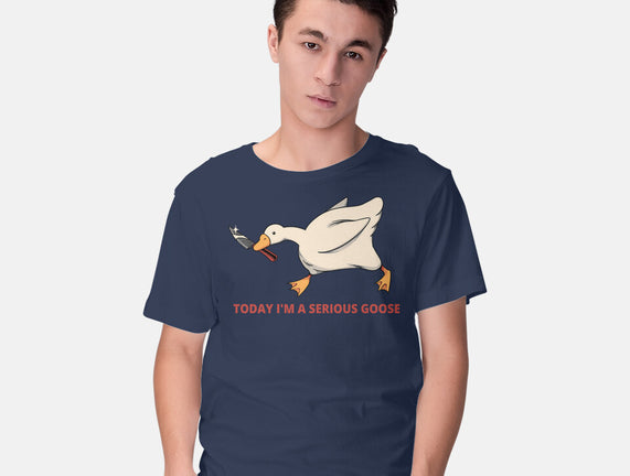 Serious Goose Violence
