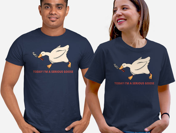 Serious Goose Violence
