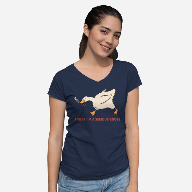 Serious Goose Violence-Womens-V-Neck-Tee-tobefonseca