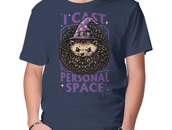 Hedgehog Wizard Magic