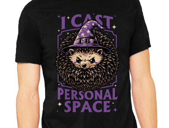 Hedgehog Wizard Magic