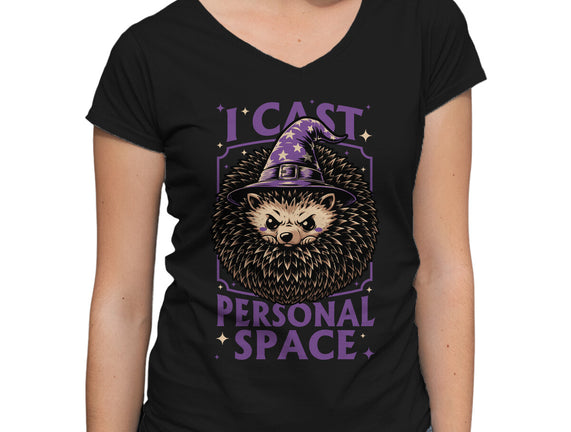 Hedgehog Wizard Magic