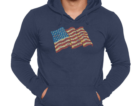 American Flag Freedom Impressionist