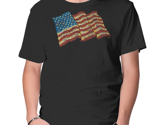 American Flag Freedom Impressionist