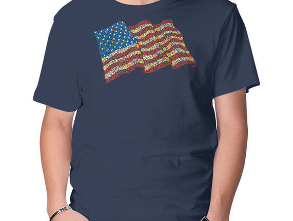 American Flag Freedom Impressionist