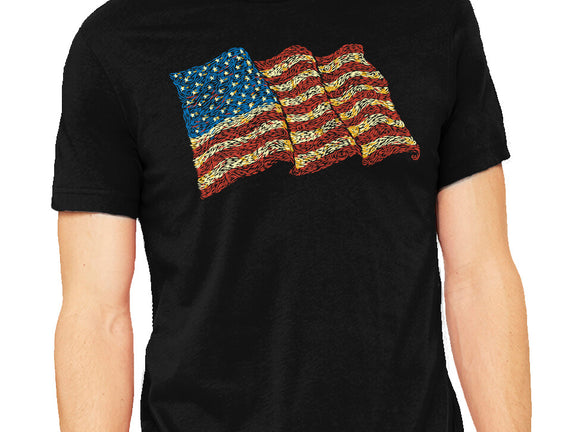 American Flag Freedom Impressionist