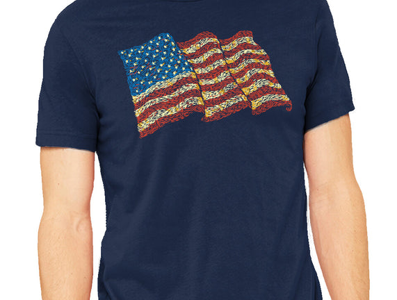 American Flag Freedom Impressionist