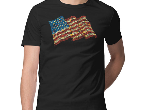 American Flag Freedom Impressionist