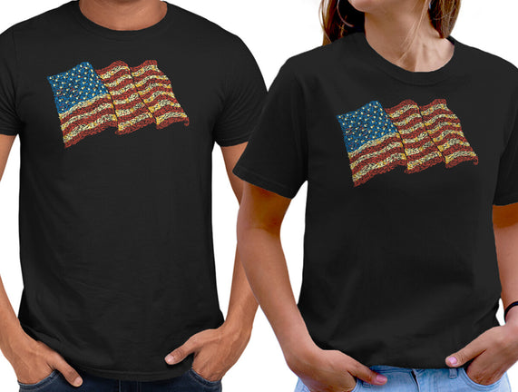 American Flag Freedom Impressionist