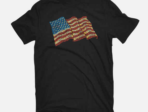 American Flag Freedom Impressionist