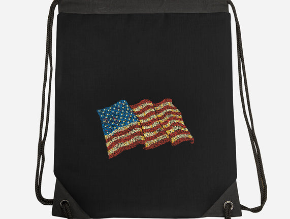 American Flag Freedom Impressionist