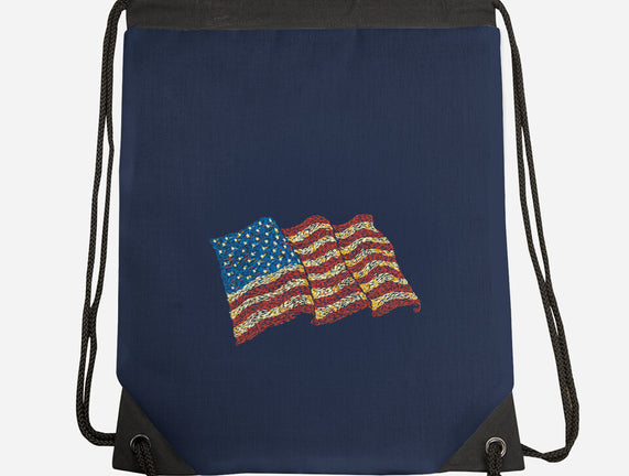 American Flag Freedom Impressionist