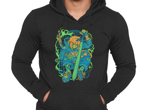Hylian Swag