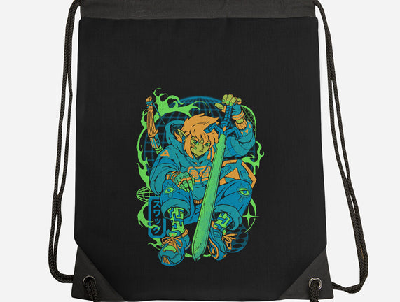 Hylian Swag