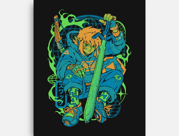 Hylian Swag