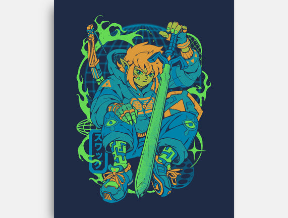 Hylian Swag