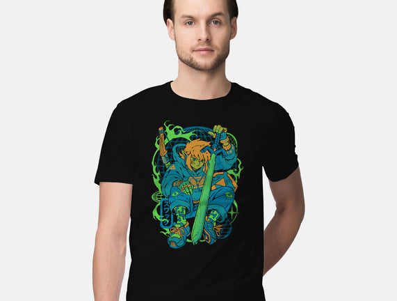 Hylian Swag