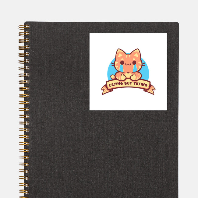 Crying But Trying-None-Glossy-Sticker-TechraNova