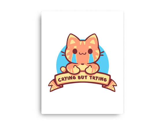 Crying But Trying