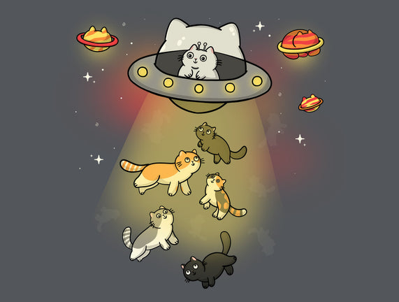 UFO Meow