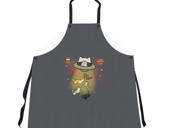 UFO Meow