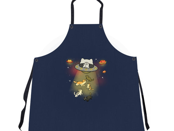 UFO Meow
