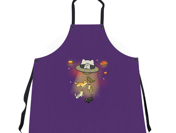 UFO Meow