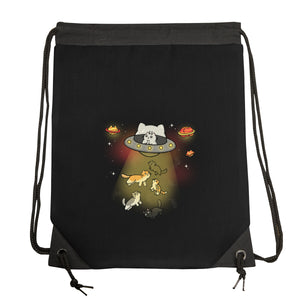 UFO Meow