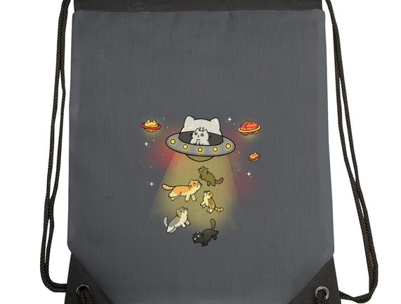 UFO Meow
