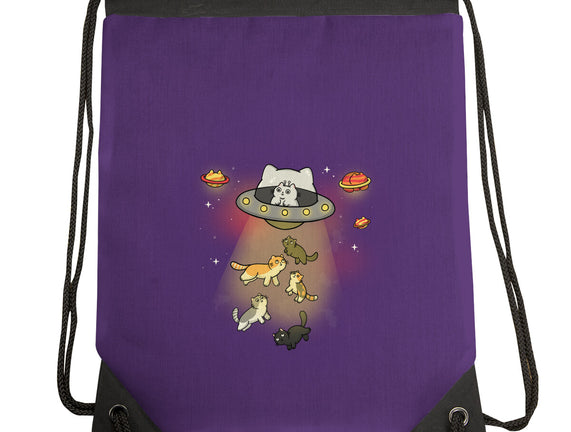 UFO Meow