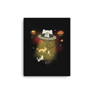 UFO Meow
