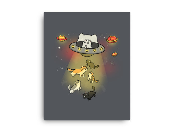 UFO Meow