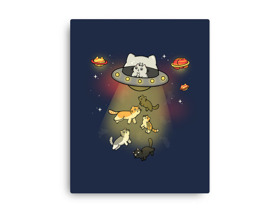 UFO Meow