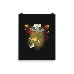 UFO Meow