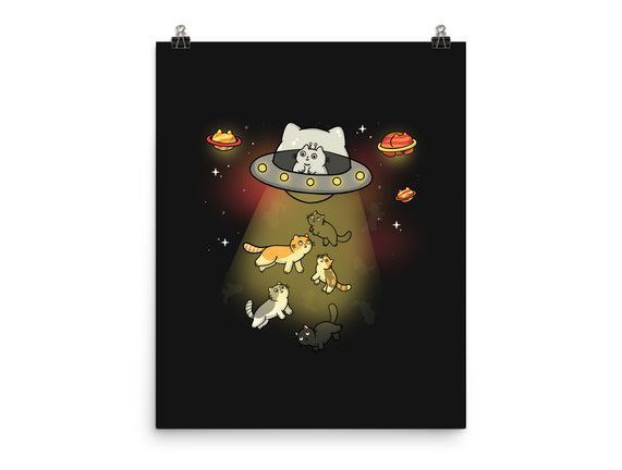 UFO Meow
