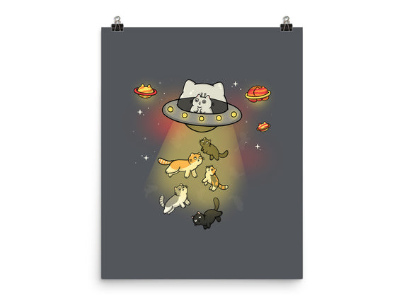 UFO Meow