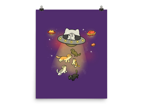 UFO Meow