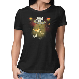 UFO Meow