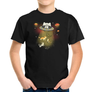 UFO Meow