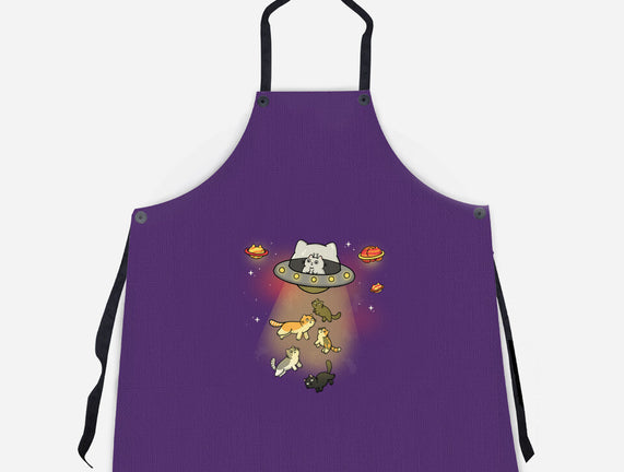UFO Meow
