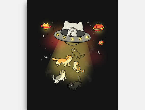 UFO Meow