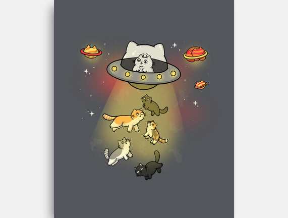 UFO Meow