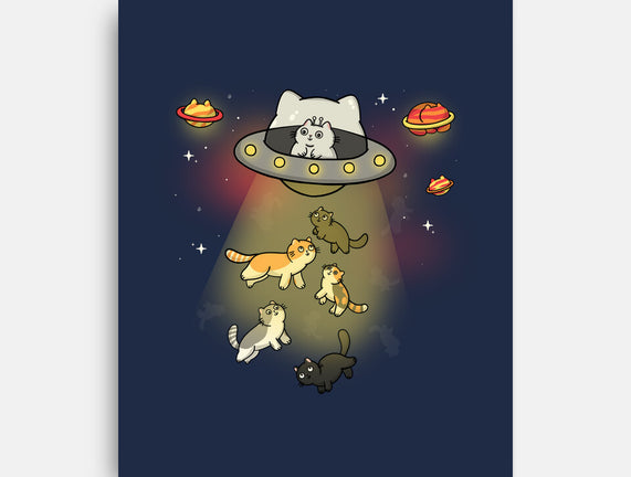 UFO Meow