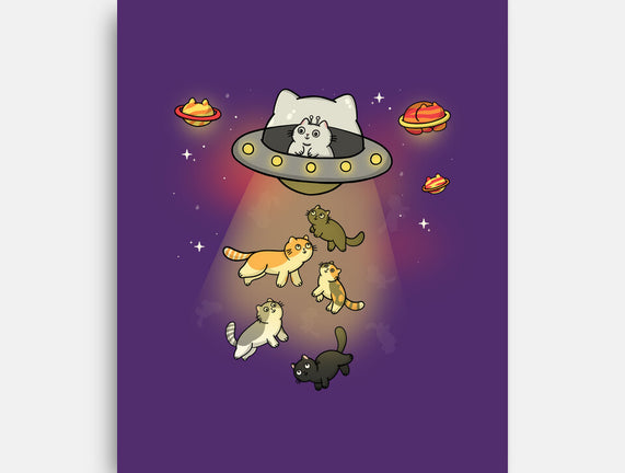 UFO Meow
