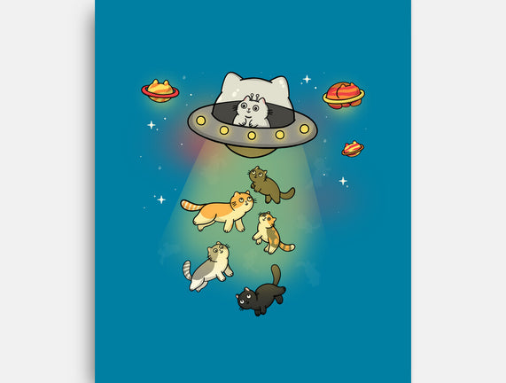 UFO Meow