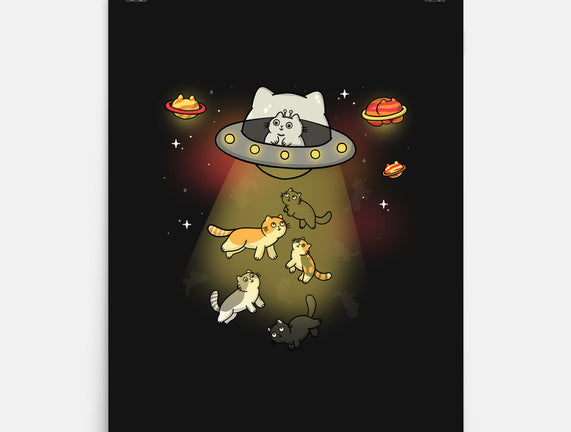 UFO Meow
