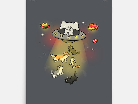 UFO Meow