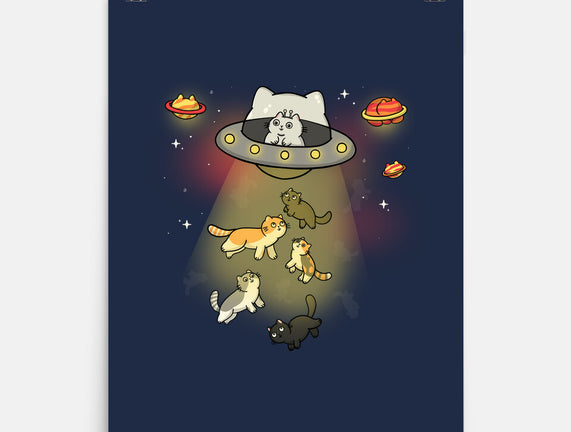 UFO Meow